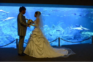 image-20131116234723.png